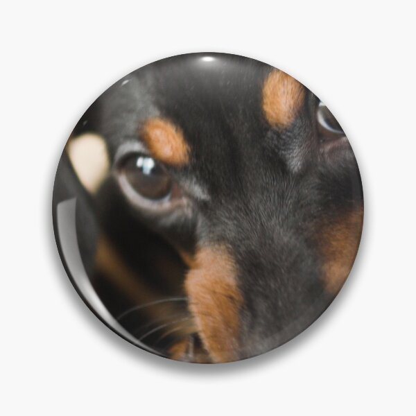Item preview, Giving Those Puppy Eyes designed and sold by dlophoto.