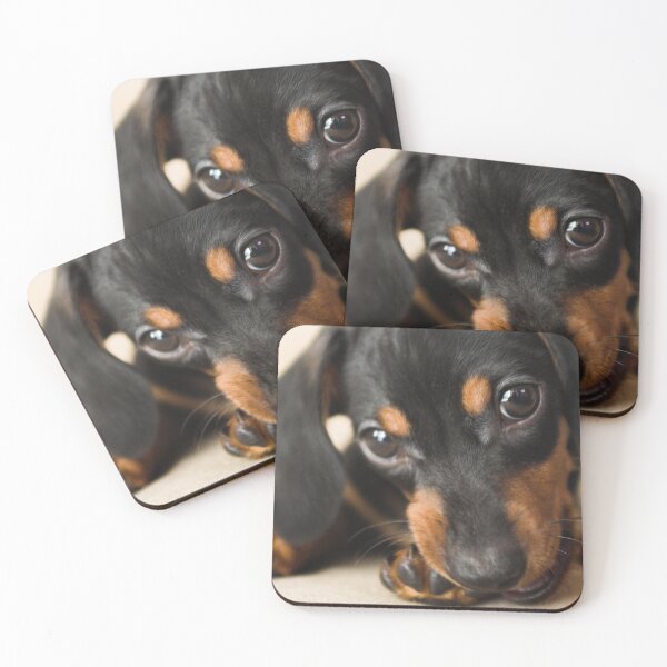 Item preview, Giving Those Puppy Eyes designed and sold by dlophoto.