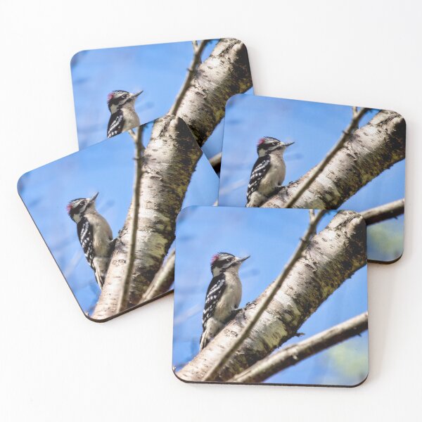 Item preview, Downy Woodpecker designed and sold by Thymely.