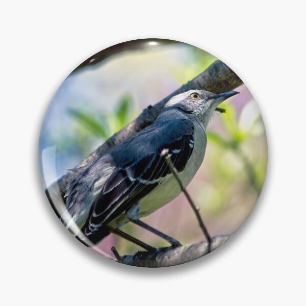 Item preview, Mocking Bird On a Shady Limb designed and sold by Thymely.