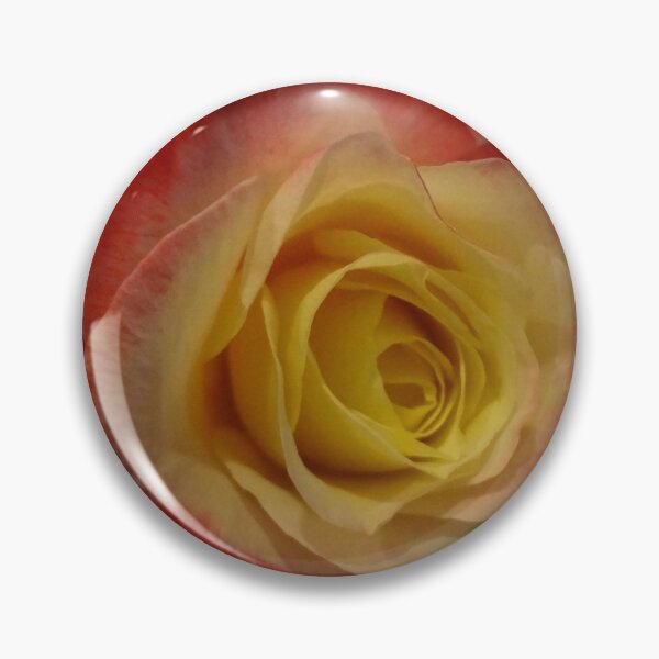 Item preview, First Rose of the Season designed and sold by jennyleeandjim.