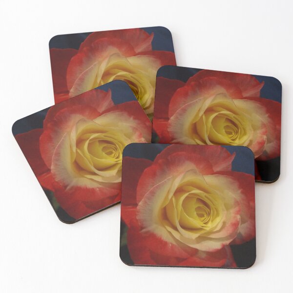 Item preview, First Rose of the Season designed and sold by jennyleeandjim.