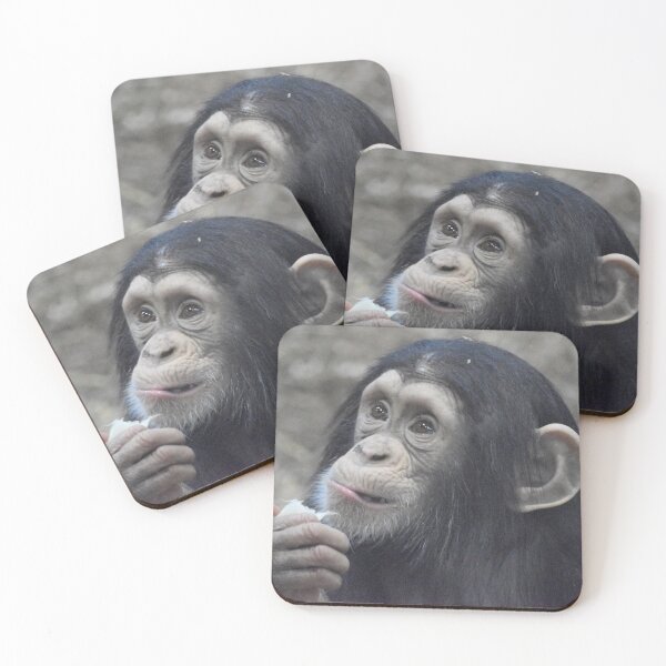 Item preview, Infant Chimpanzee Lola at the Maryland Zoo designed and sold by Zoo and Nature Photography by Karie.