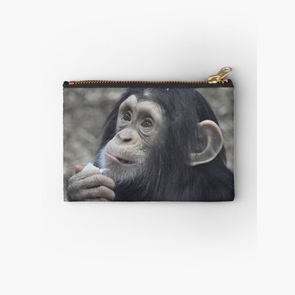 Item preview, Infant Chimpanzee Lola at the Maryland Zoo designed and sold by Zoo and Nature Photography by Karie.