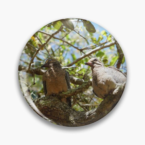 Item preview, mourning doves cooing in live oak designed and sold by distracted.