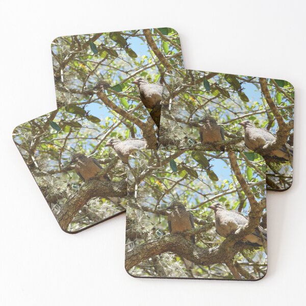 Item preview, mourning doves cooing in live oak designed and sold by distracted.