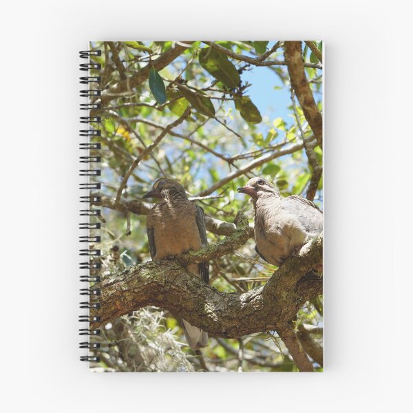 Item preview, mourning doves cooing in live oak designed and sold by distracted.