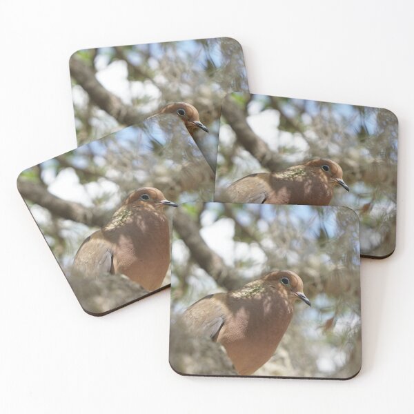Item preview, mourning dove cooing in live oak designed and sold by distracted.