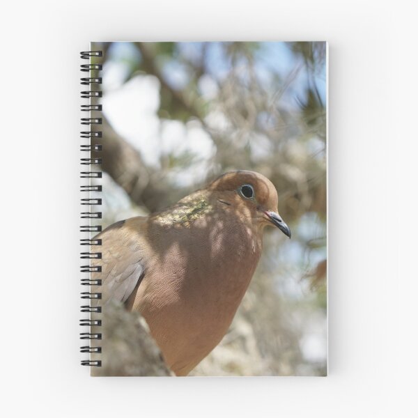 Item preview, mourning dove cooing in live oak designed and sold by distracted.