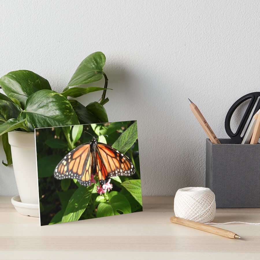 Item preview, Art Board Print designed and sold by RazerWing.