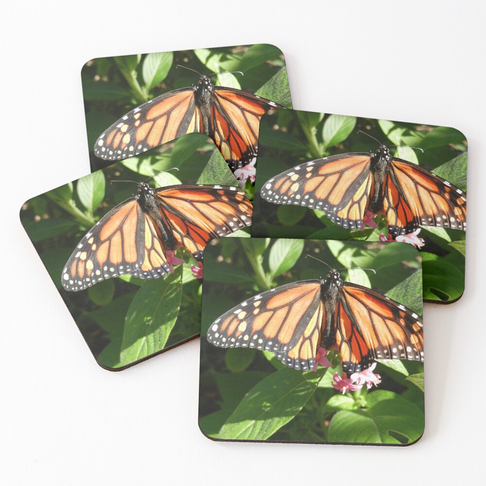 Item preview, Coasters (Set of 4) designed and sold by RazerWing.