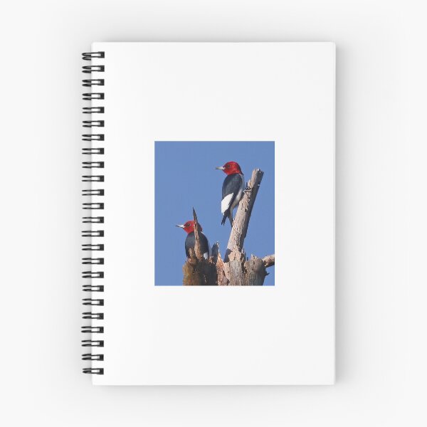Item preview, Red Headed Woodpeckers designed and sold by Anthony Goldman.