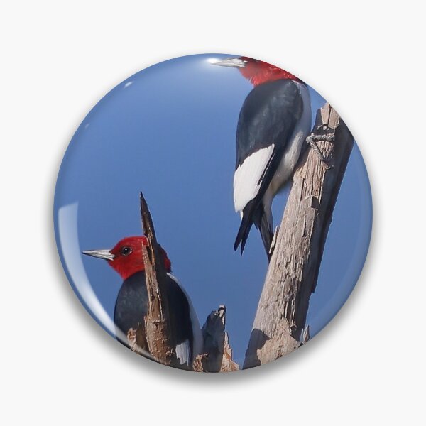 Item preview, Red Headed Woodpeckers designed and sold by Anthony Goldman.