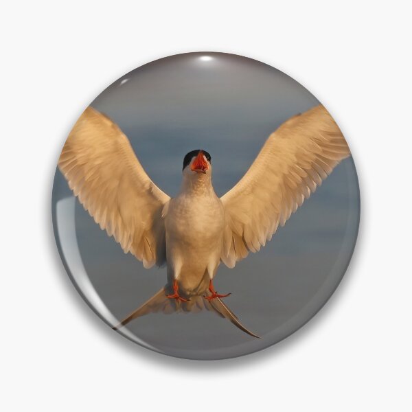 Item preview, Common Tern  designed and sold by Anthony Goldman.