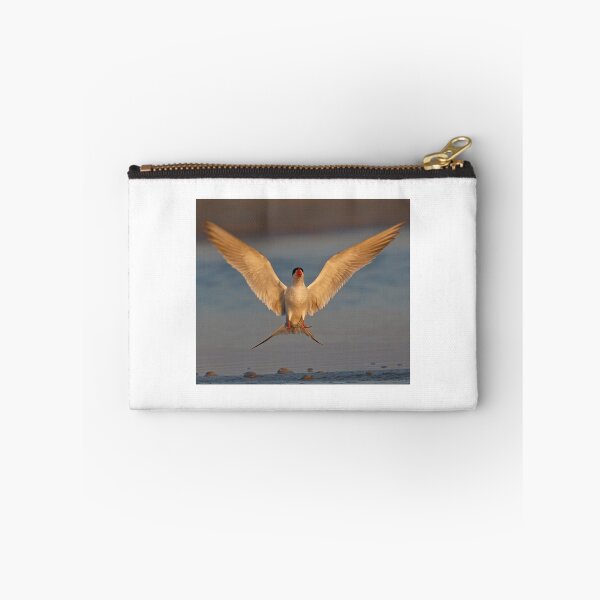 Item preview, Common Tern  designed and sold by Anthony Goldman.