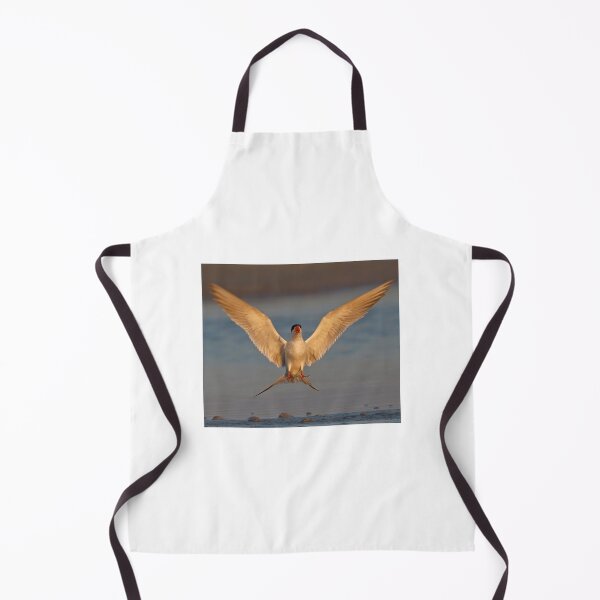 Item preview, Common Tern designed and sold by Anthony Goldman.