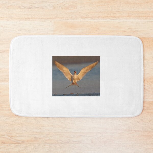 Item preview, Common Tern  designed and sold by Anthony Goldman.