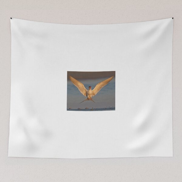 Item preview, Common Tern  designed and sold by Anthony Goldman.