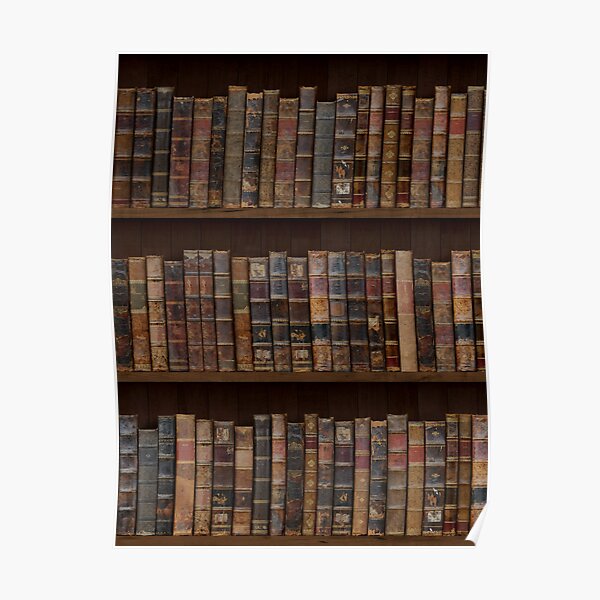 Bookshelf Posters Redbubble