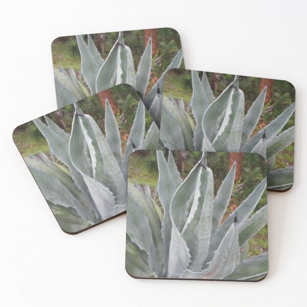 Item preview, blue agave florida designed and sold by distracted.