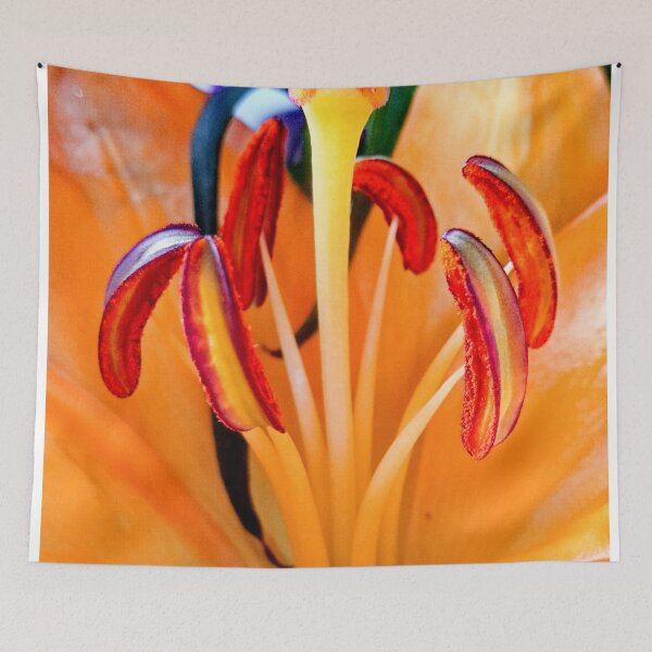 Item preview, Orange Easter Lily designed and sold by doodle3Dandy.