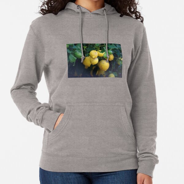 What a lovely bunch of lemons Lightweight Hoodie