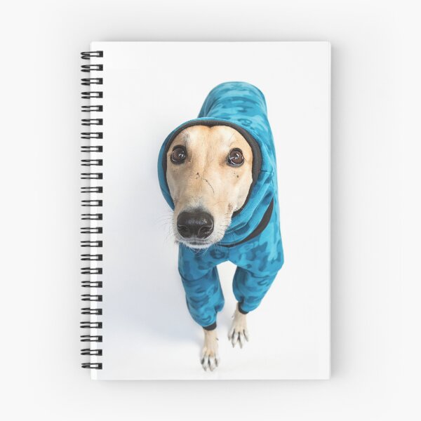 Item preview, Greyhound in pyjamas designed and sold by houndpixnz.