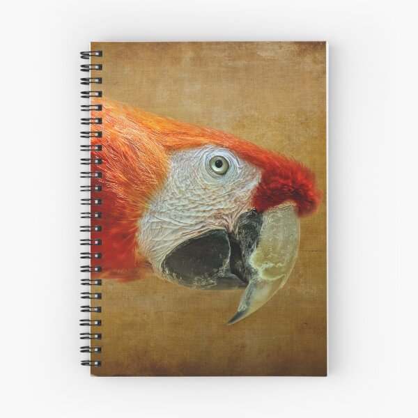 Item preview, Pretty Boy designed and sold by Lois  Bryan.