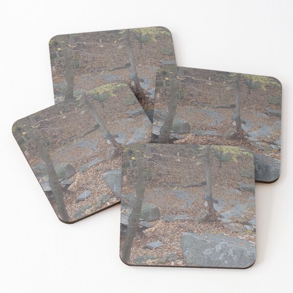 Item preview, Tree, stone, banch, autumn, leaves designed and sold by fosterahope.