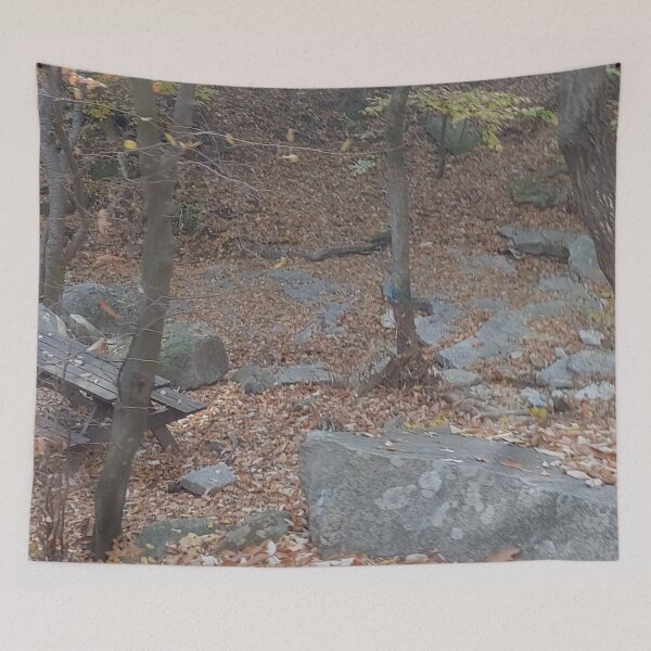 Item preview, Tree, stone, banch, autumn, leaves designed and sold by fosterahope.