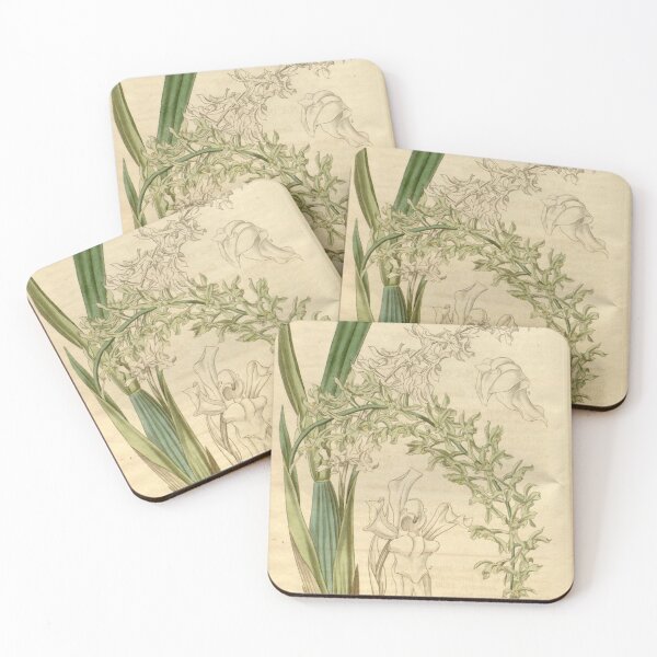 Item preview, Curtis's botanical magazine (Plate 3497) (8043254666) designed and sold by EsotericBotanic.