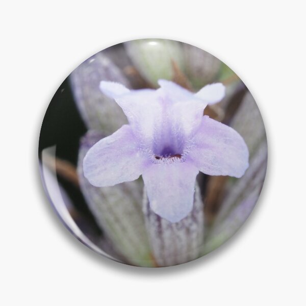 Item preview, Macro shot of lavender flower designed and sold by SDym Photography.