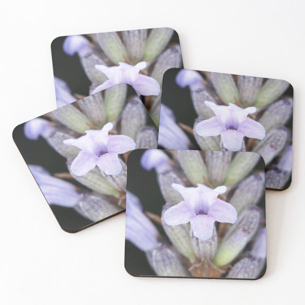 Item preview, Macro shot of lavender flower designed and sold by SDym Photography.