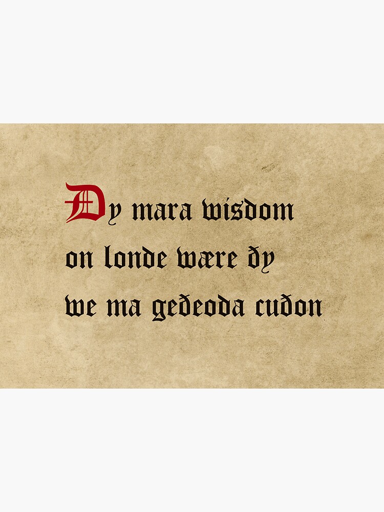 There would be more wisdom in the land, the more languages we knew by SignumStore