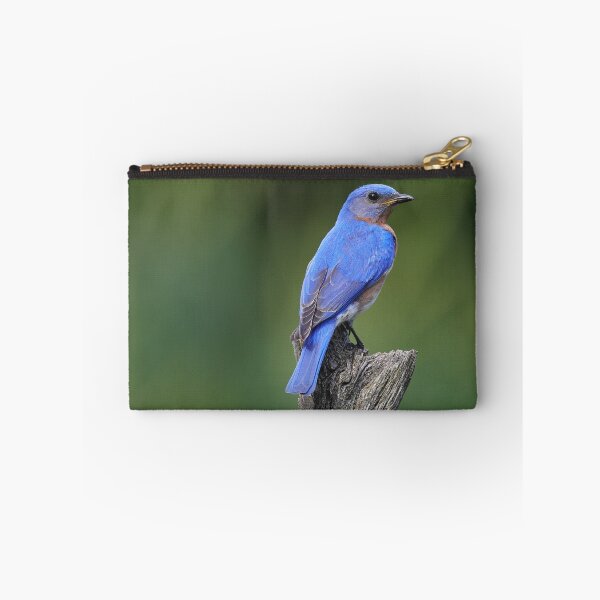 Item preview, Eastern Bluebird designed and sold by Rob Lavoie.