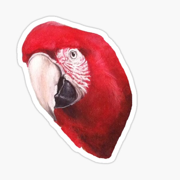 Scarlet Macaw Sticker
