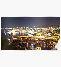 night landscape Poster