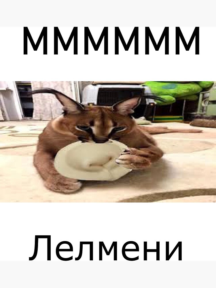 Floppa Memes GIF - Floppa Memes Big Russian Cat - Discover & Share