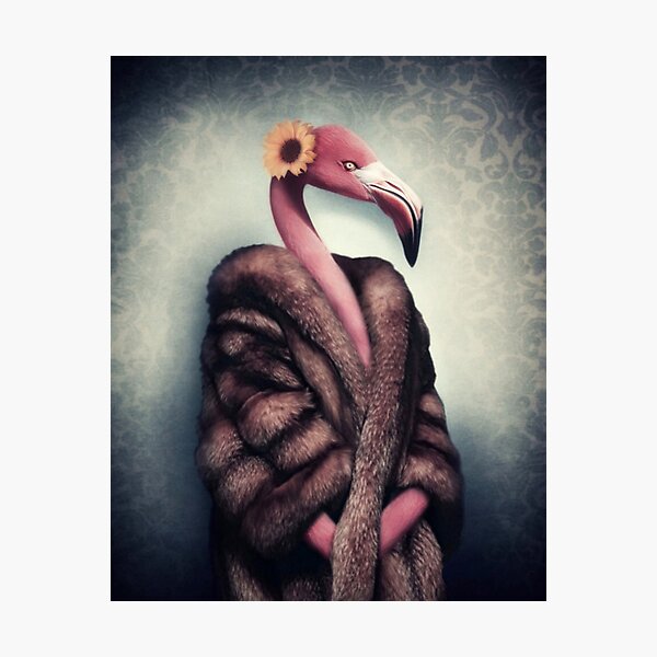 Flo by Ark & Ghosts Photographic Print