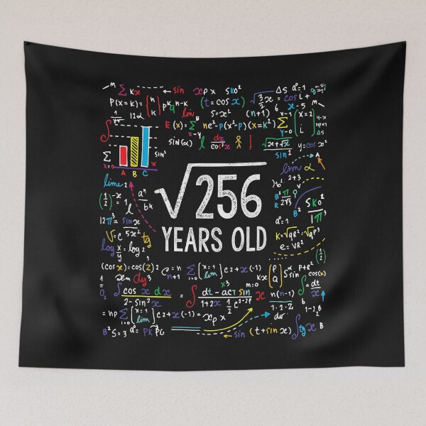 Item preview, Square Root Of 256 16th Birthday 16 Year Old Gifts Math Bday designed and sold by Plinio12323.