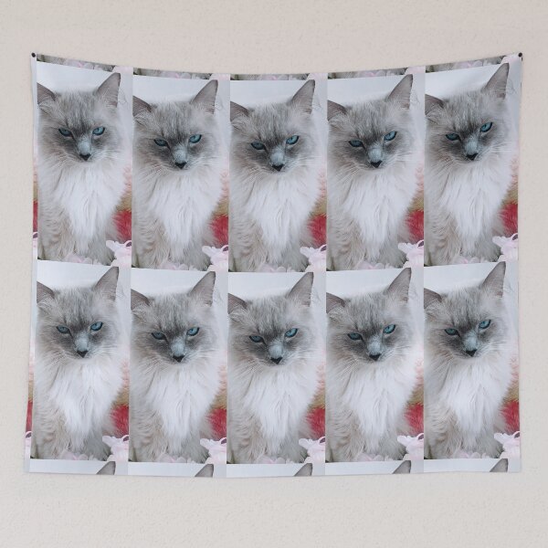 Item preview,  Ragdoll cat Odin designed and sold by Fluffycat2020.