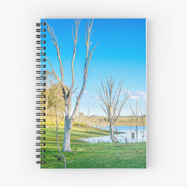 Item preview, The Impound Reservoir Low Water Level designed and sold by Steven Jodoin.