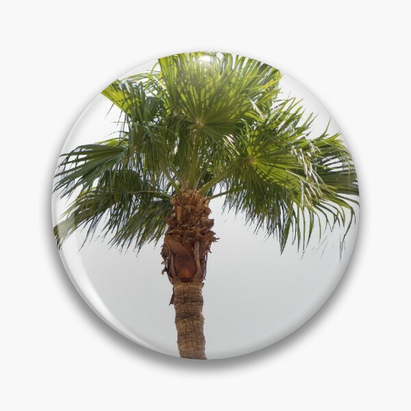 Item preview, Isolated palm Tree designed and sold by LizzieMaher.
