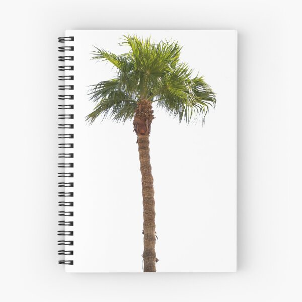 Item preview, Isolated palm Tree designed and sold by LizzieMaher.