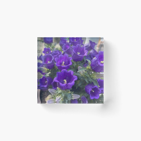 Item preview, Purple flowers  designed and sold by auroraa.