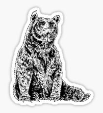 Bear Sticker