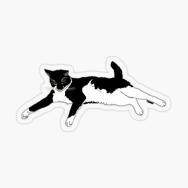 Cute Tuxedo Cat I want to play Transparent Sticker