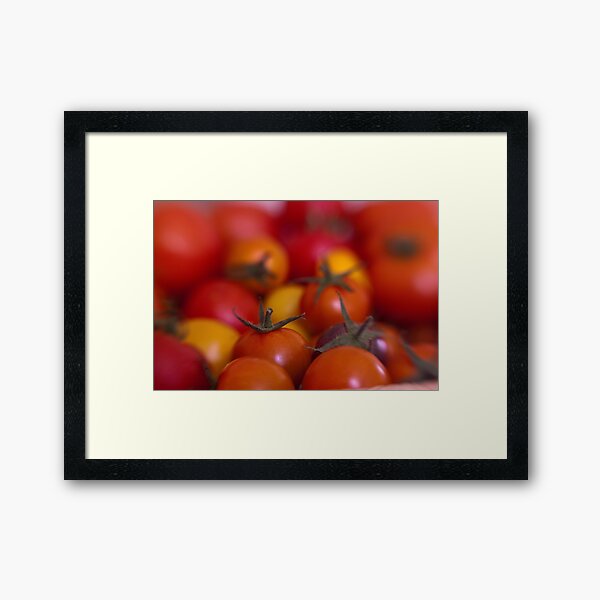 Tomtom Framed Art Print