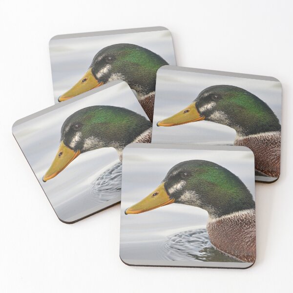 Item preview, Mallard Drake Portrait designed and sold by ClaireChown.