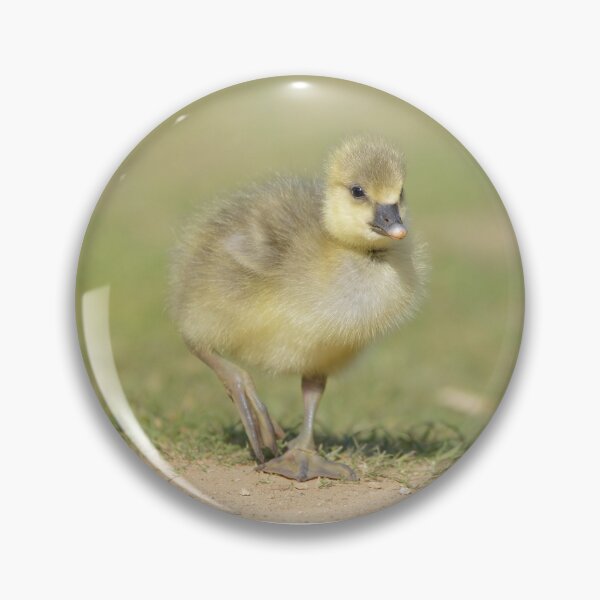 Item preview, Out for a stroll designed and sold by ClaireChown.